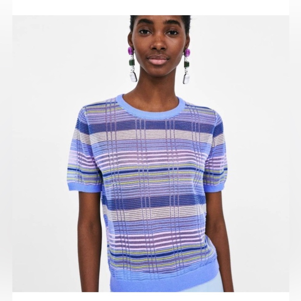 Zara Knit Multicolor Striped sheer knit Short Sleeve top Size Small